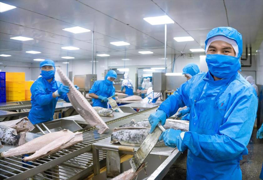 Seafood Media Group Worldnews Vietnam’s tuna exports to Spain